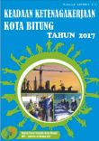 Keadaan Ketenagakerjaan Kota Bitung 2017